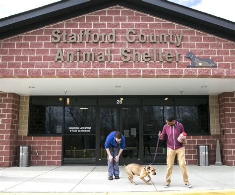 Stafford animal shelter - Stafford County Animal Shelter issued an urgent plea Thursday as they are facing an increase in their dog population and may have to resort to euthanasia, officials said in a social media post ...